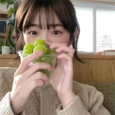 来自收容所的爱